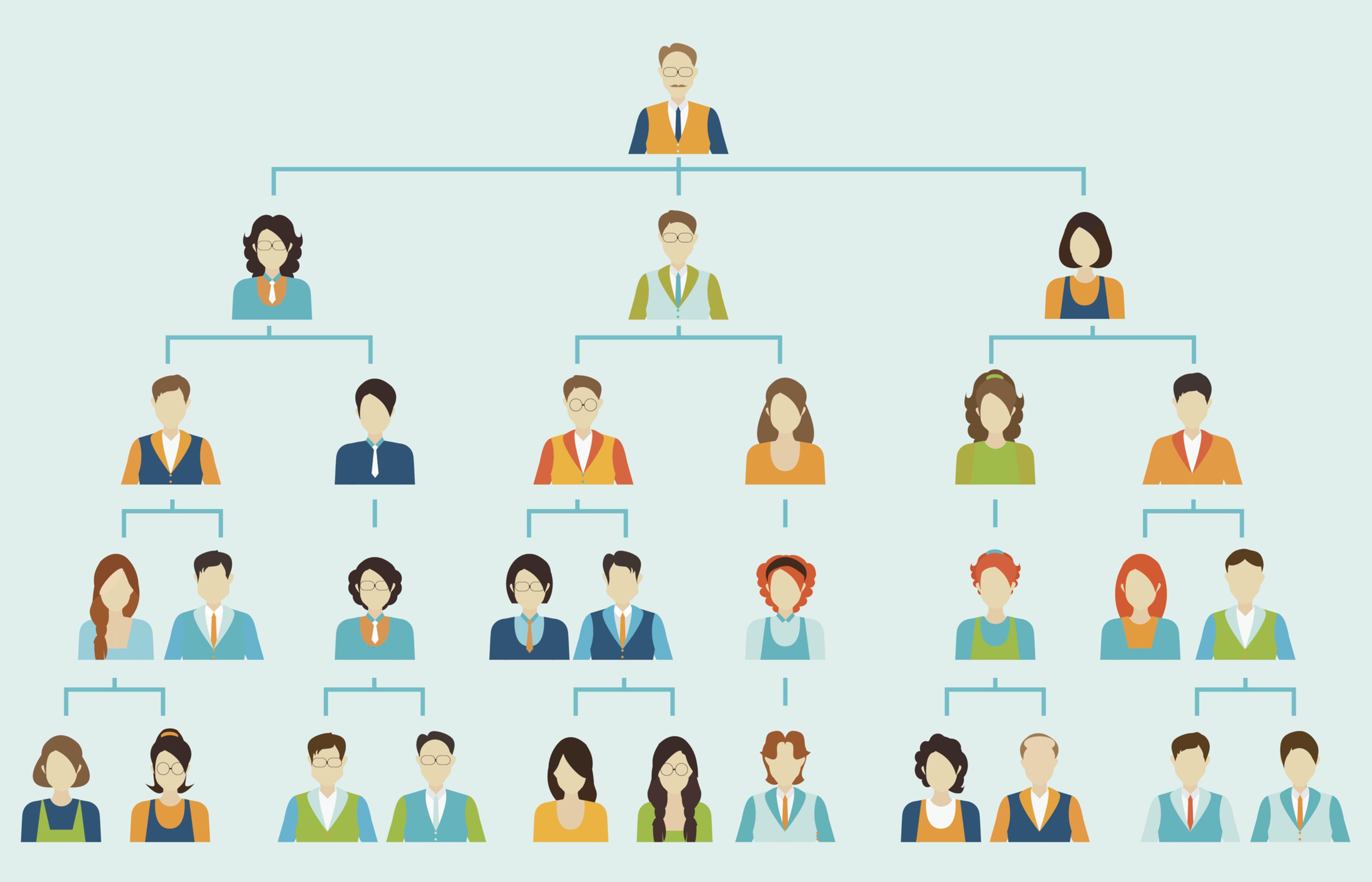 Organizational chart corporate business hierarchy.