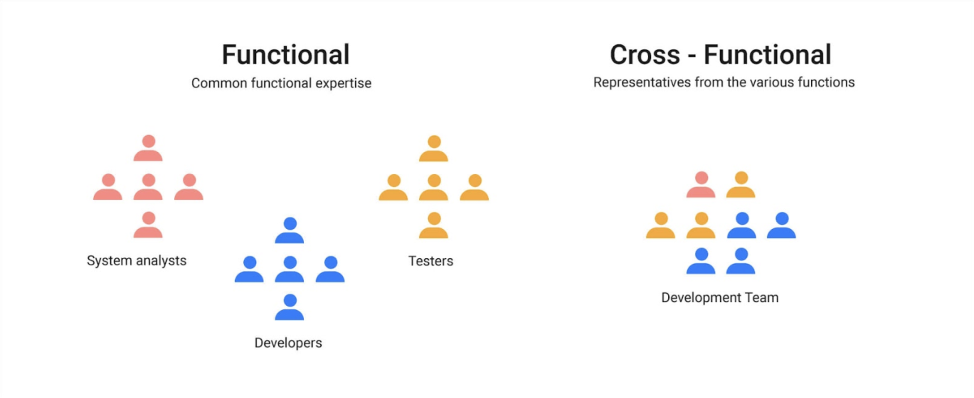 Cross-Functional Team Diagram