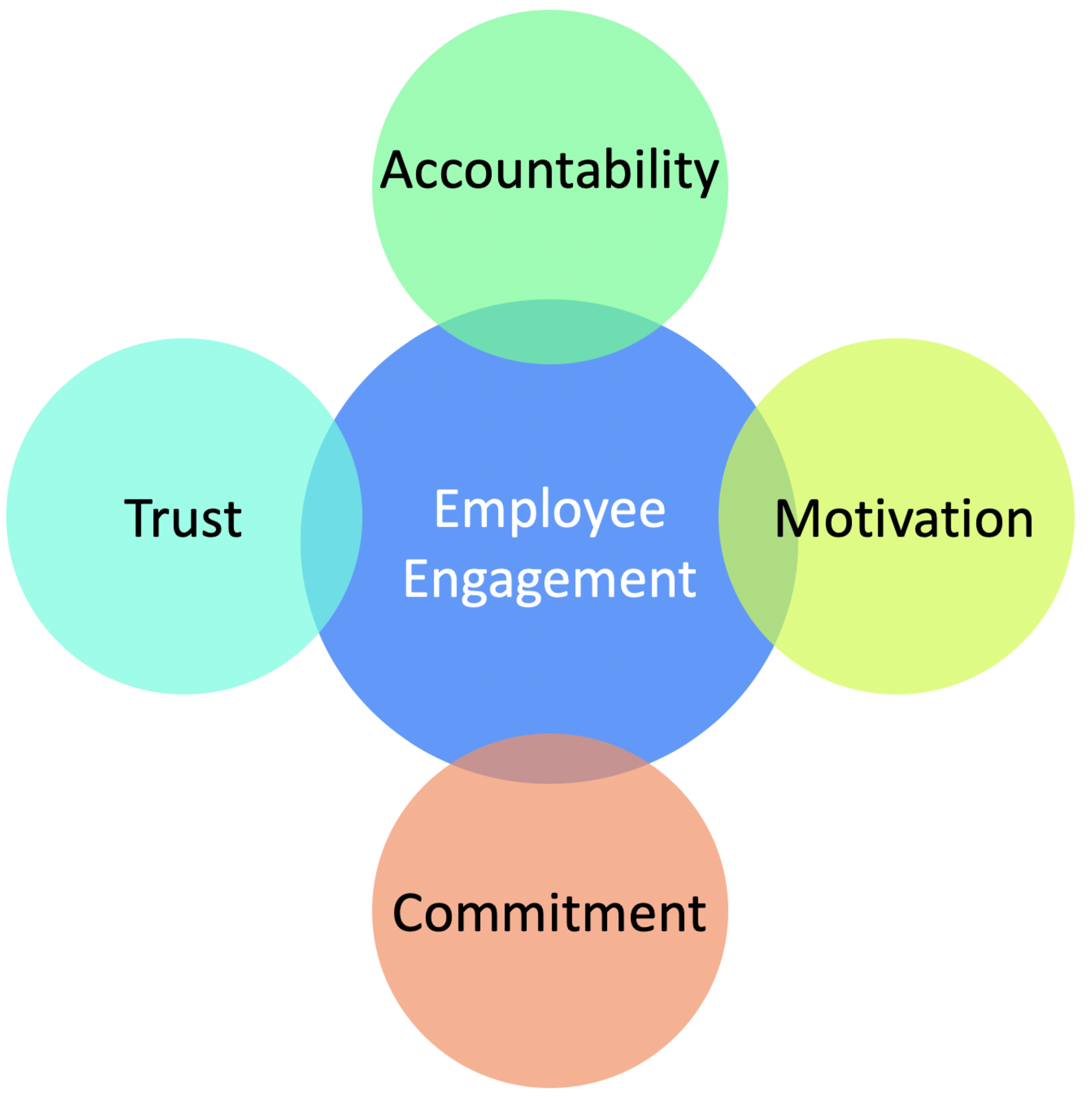 What is Employee Engagement